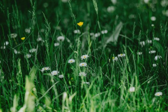 On-line povídání 4. 3. 2026 | JARO - čas věci rozhýbat