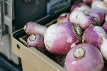 Tuřín: nenápadný zázrak pro imunitu, trávení i vitalitu